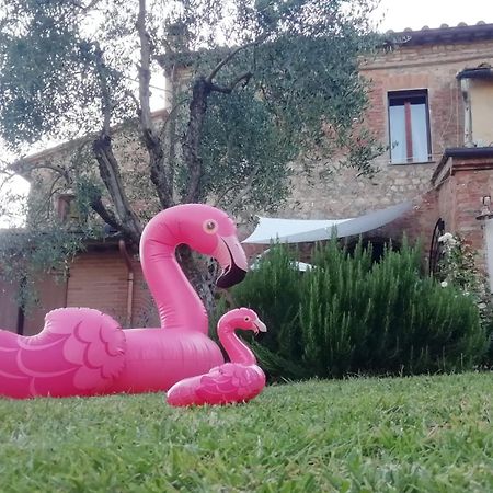 Agli Olivi Di Marciano Apartment เซียนา ภายนอก รูปภาพ