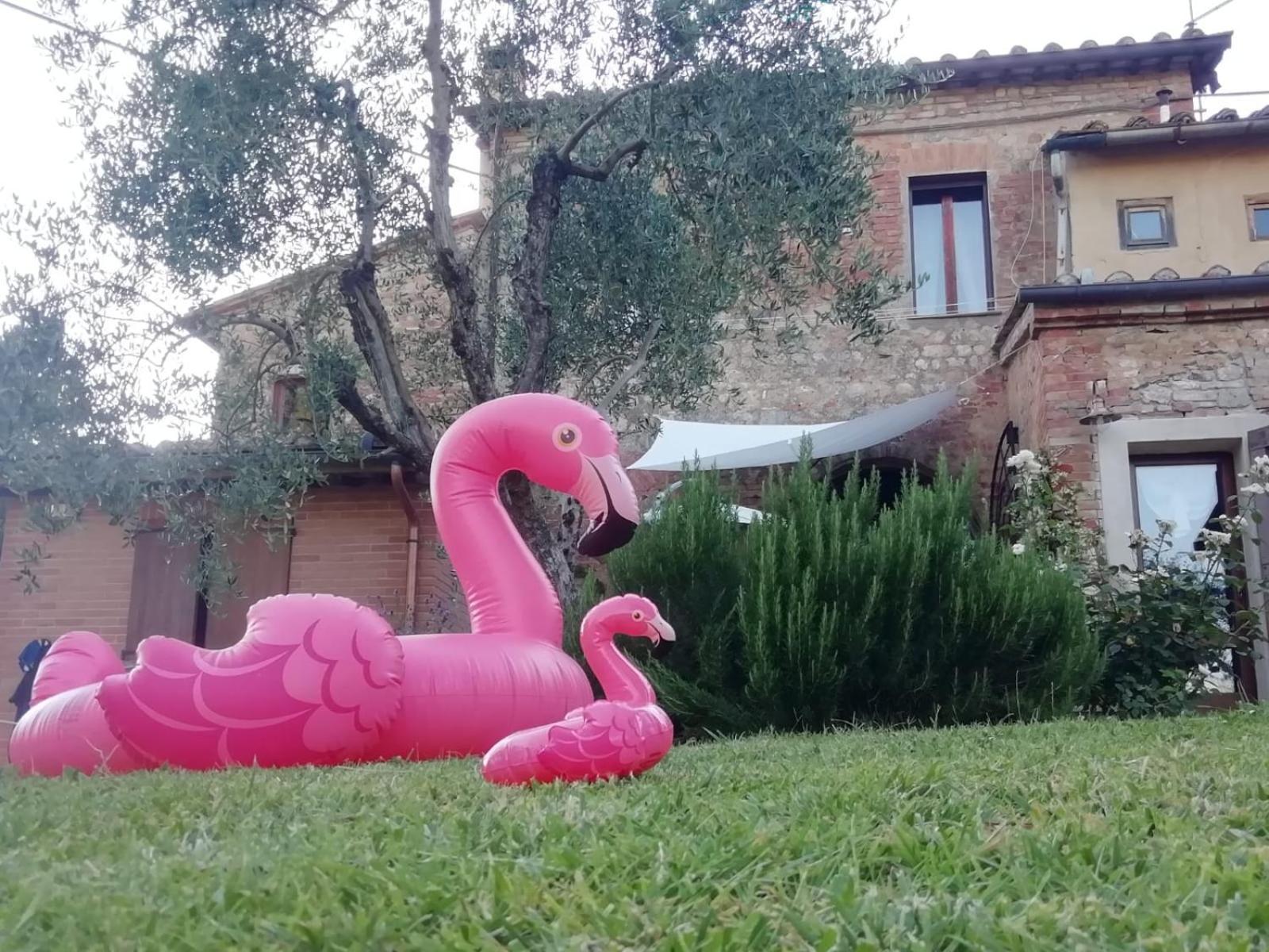 Agli Olivi Di Marciano Apartment เซียนา ภายนอก รูปภาพ